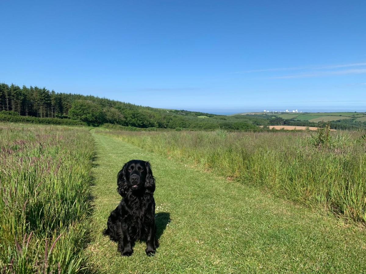 Pentire Coastal Holiday Park Bude Esterno foto