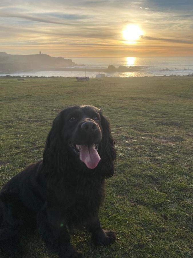 Pentire Coastal Holiday Park Bude Esterno foto
